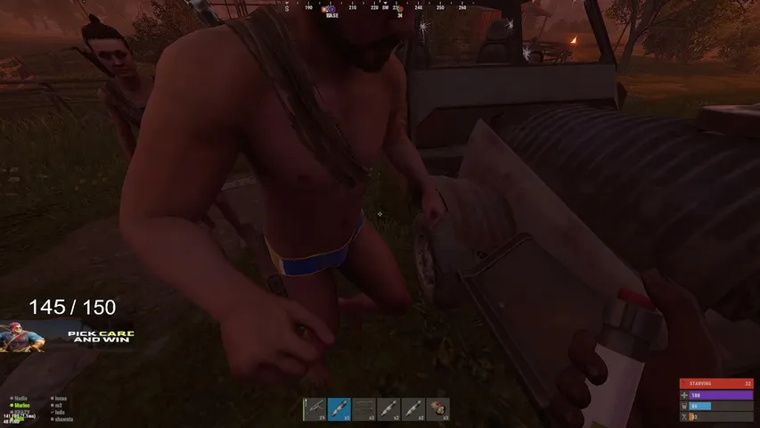 notoriuspig