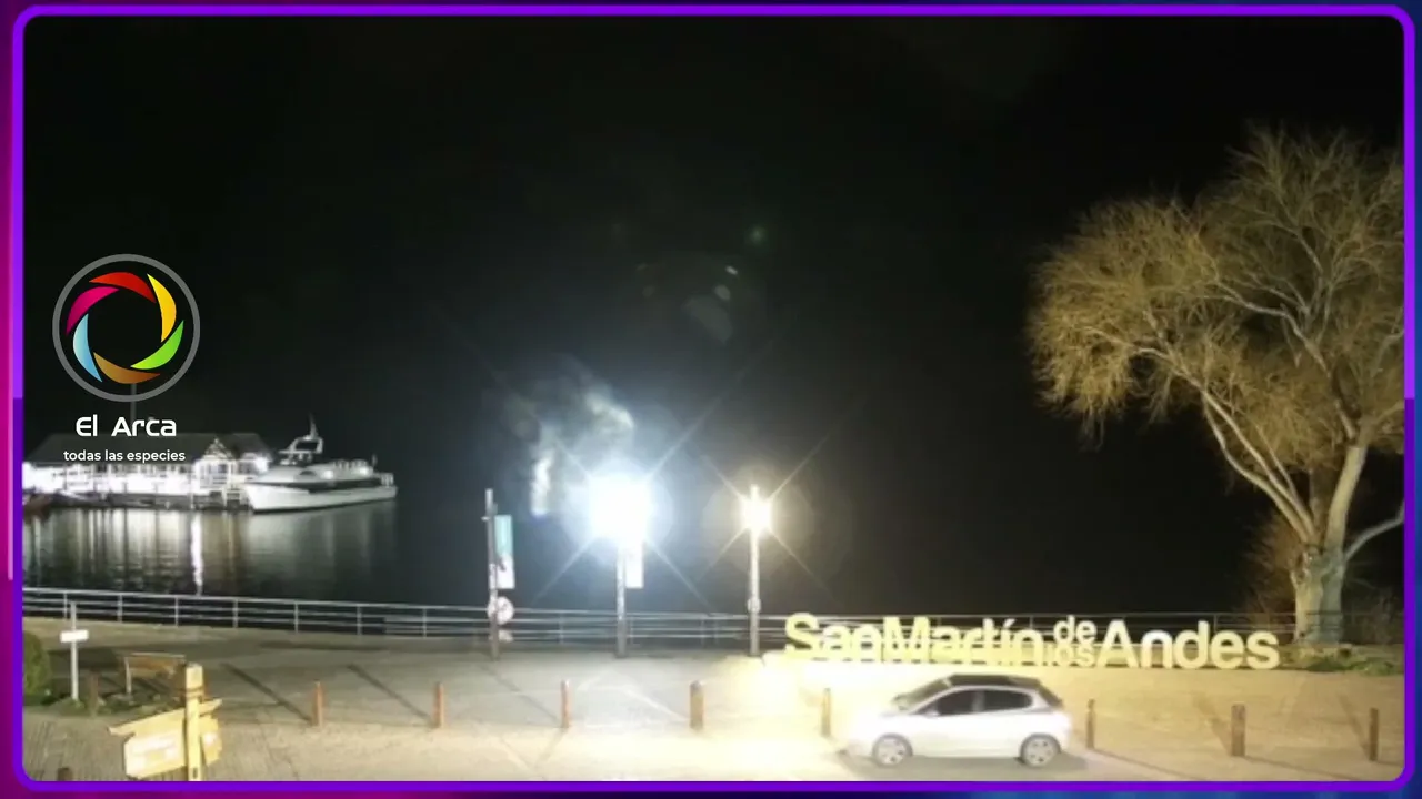 Elarcanqn live