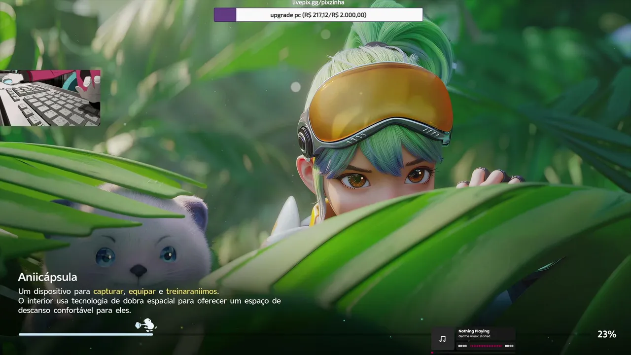 Pixzinha live