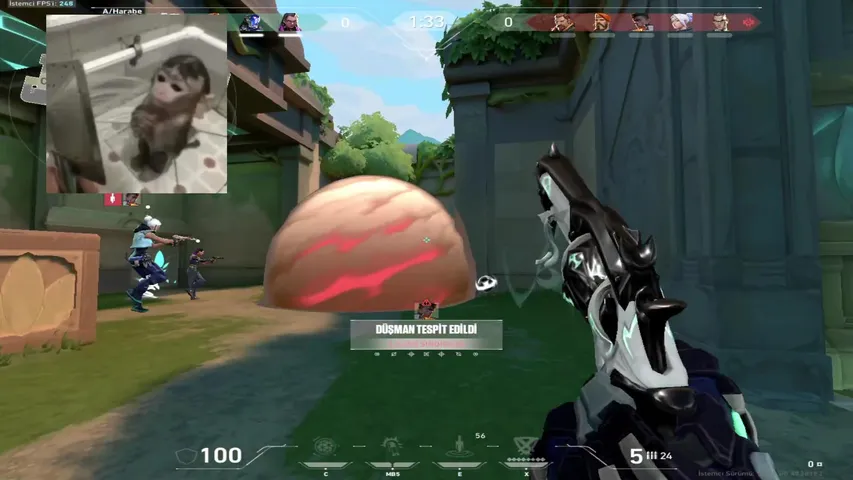 lose