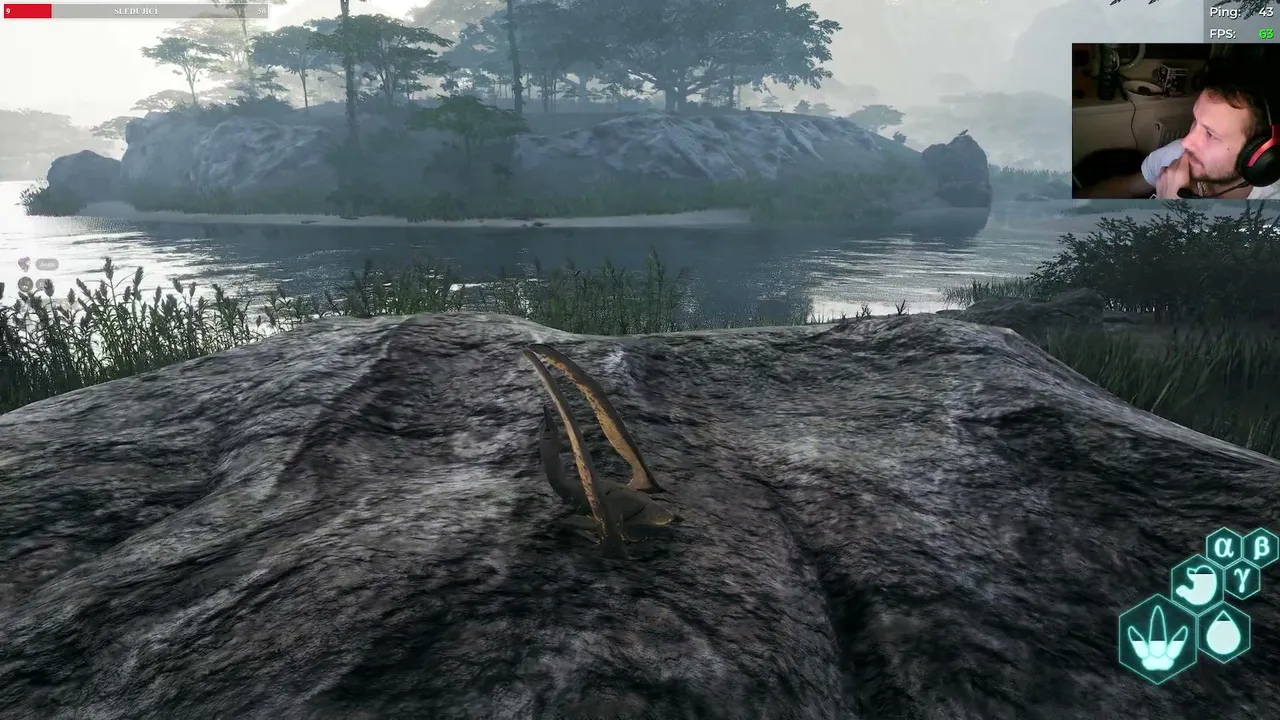 DesolaThor live