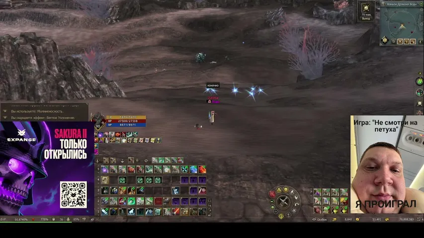 ebaka-gayming Lineage 2 потоковое изображение
