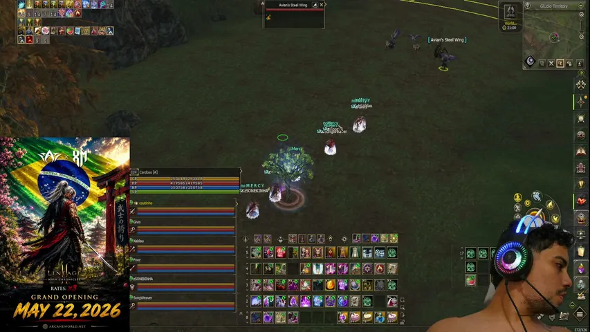 cardosok98 Lineage 2 stream image