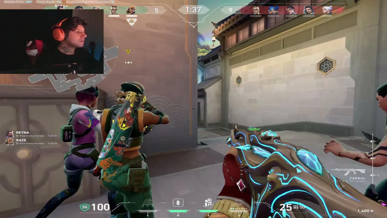 Alpisel live stream