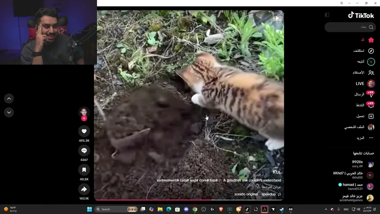 !MT |عدناا