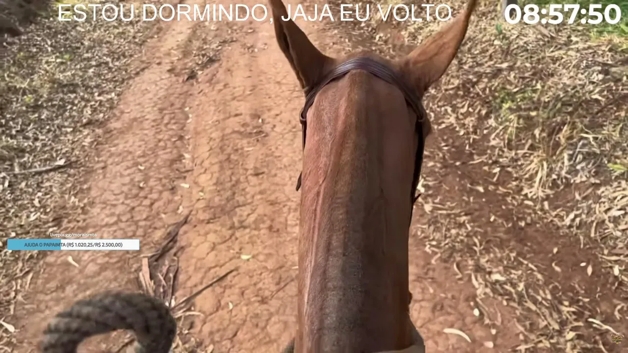 moraismta