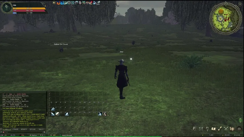 iidejavy Lineage 2 stream image