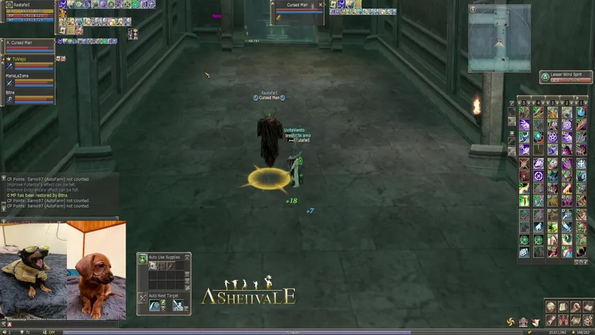leoochichu Lineage 2 stream image