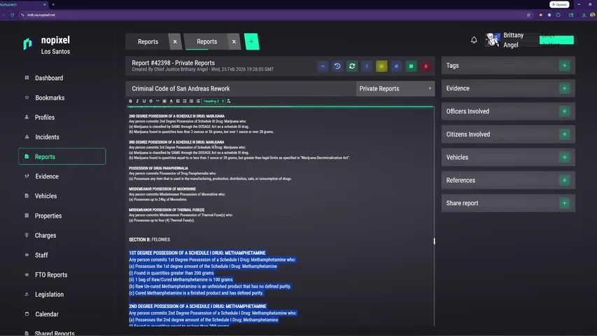 Chief Justice Brittany Angel 👩‍⚖️ | The Coolest to Ever Do It 😎