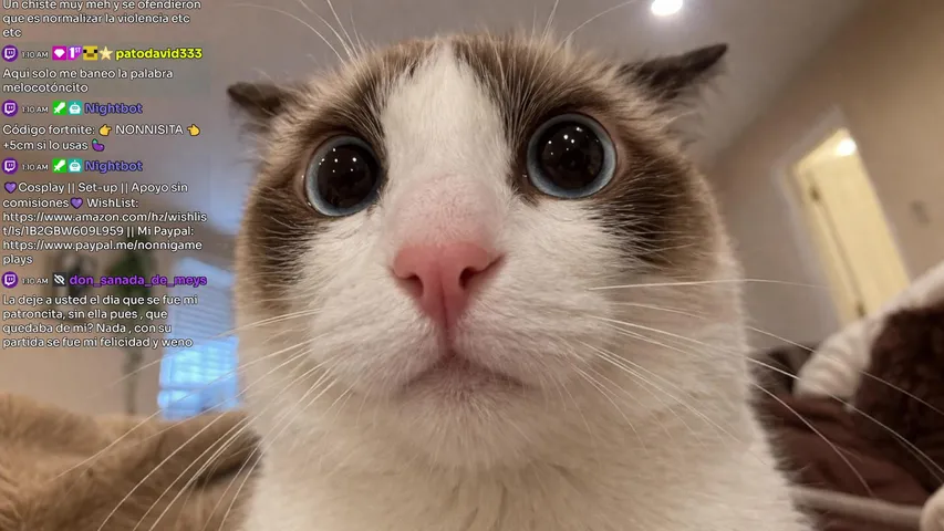 DESCUBRÍ EL SECRETO DE LA VIDA