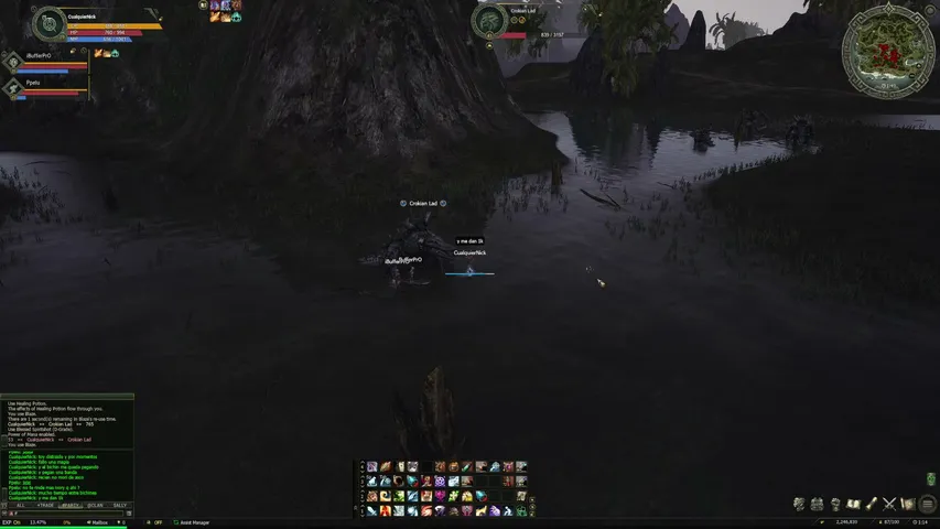 bufferpro Lineage 2 stream image