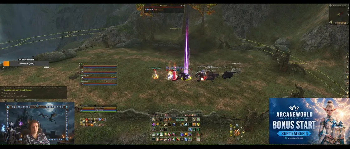 msalef Lineage 2 stream image