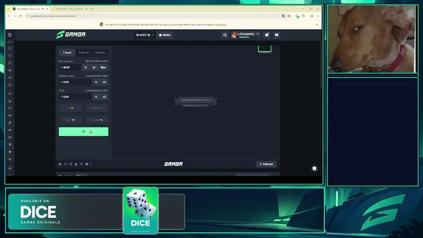 cleosgamba playing Slots & Casino - Live Casino Stream