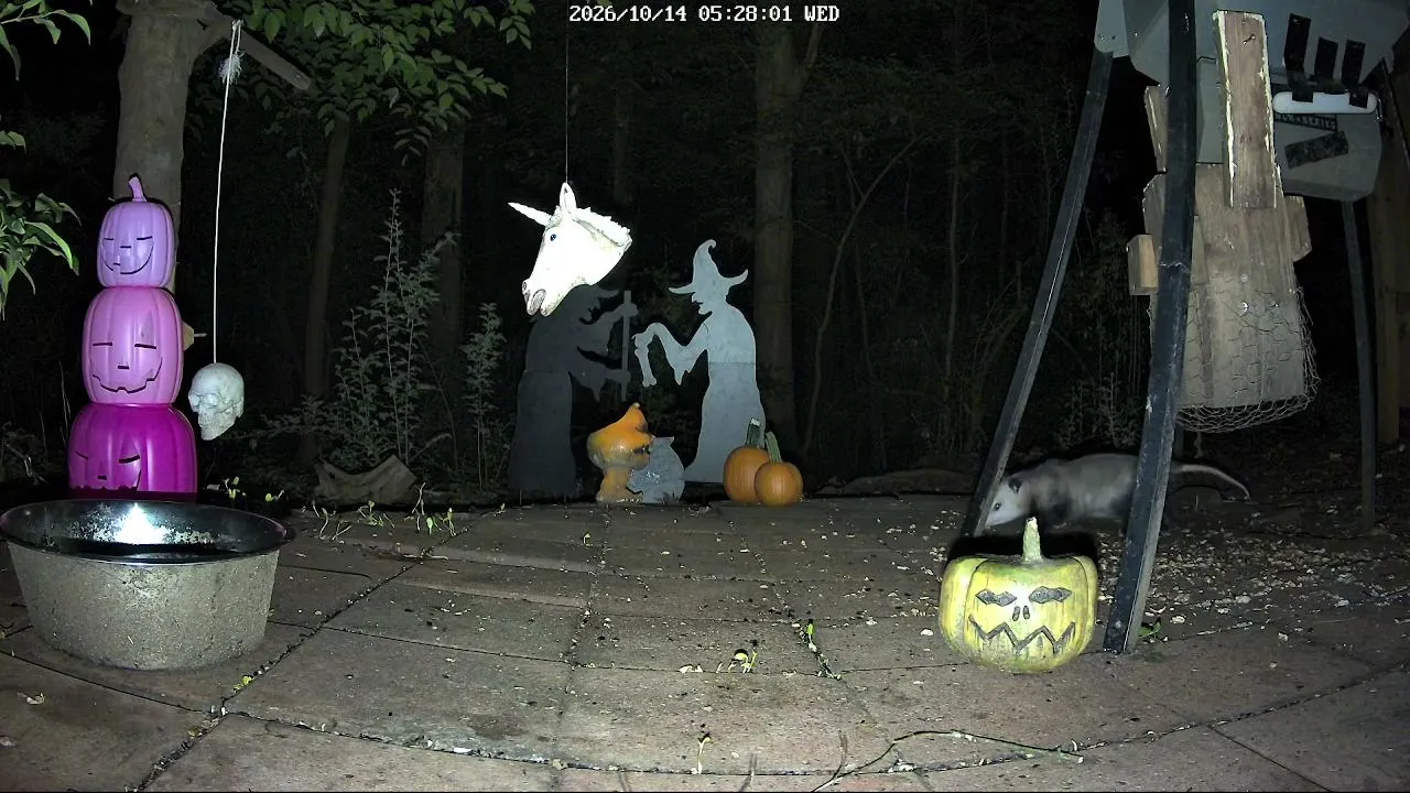 WildLifeCam