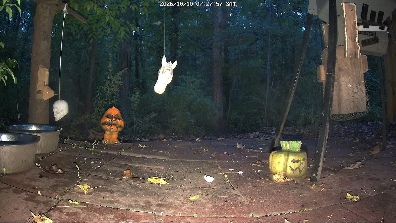 WildLifeCam