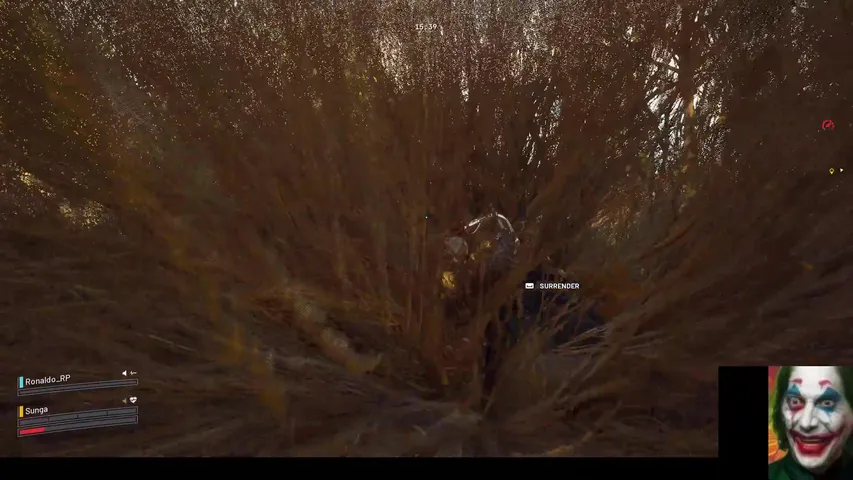 Lets gooo - Followers 198/250 - Chat151/250