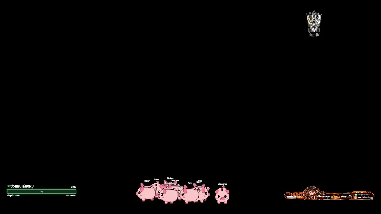Moojummm live stream