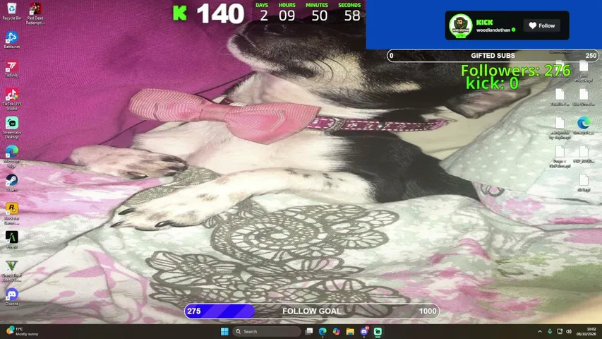 woodlandethan playing Slots & Casino - Live Casino Stream