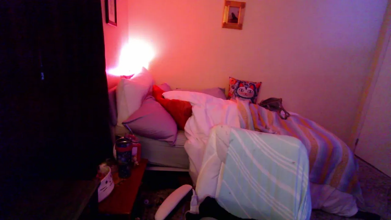 MinetteLive live