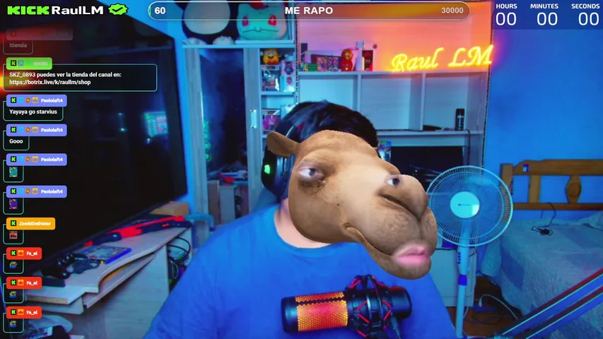 Live preview of raullm's Kick stream