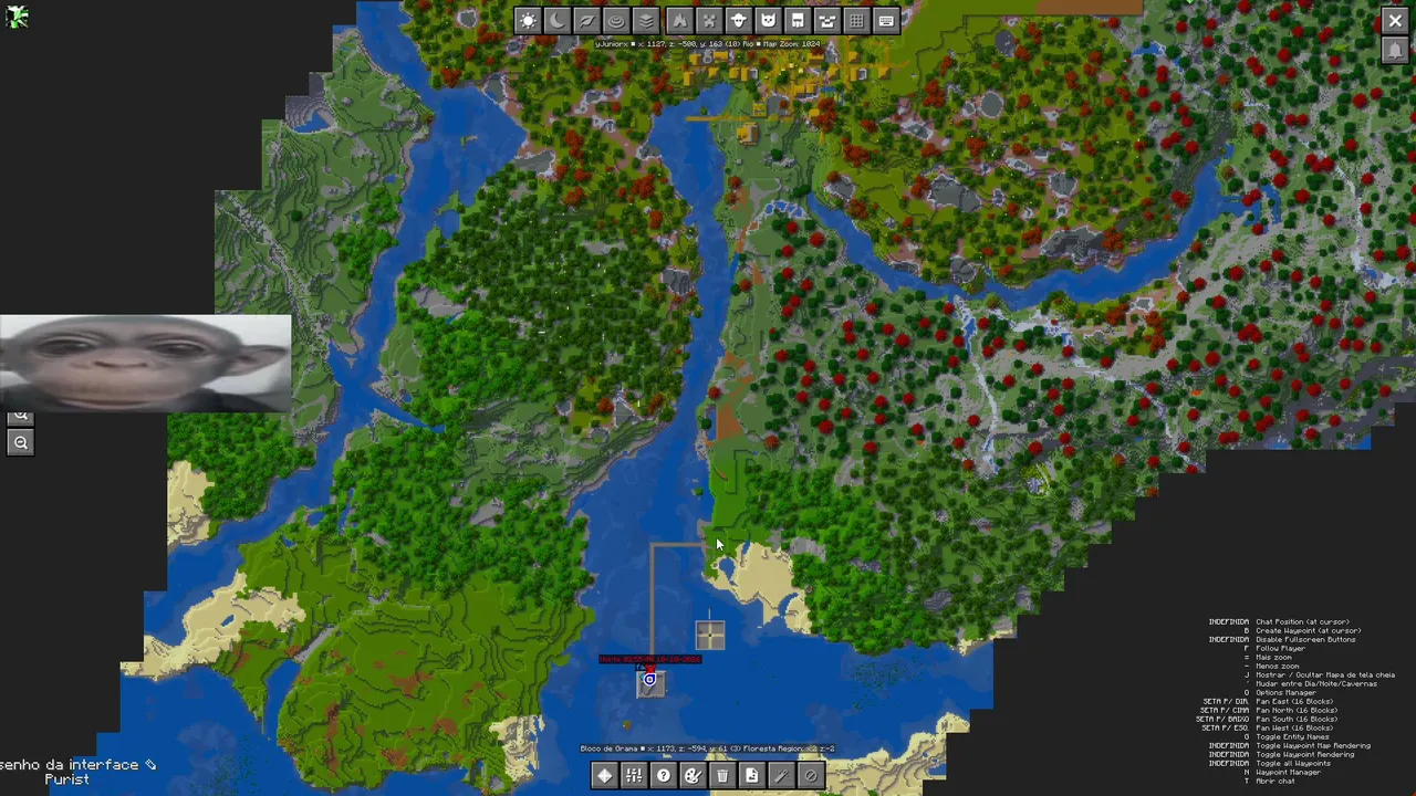 jnxsq live stream