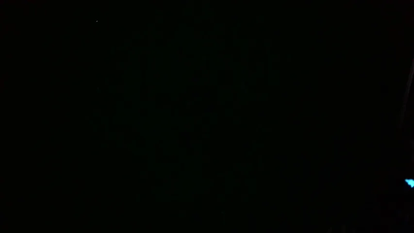 えるぴふじこ見守りカメラ。どっちがイビキうるさいか勝負