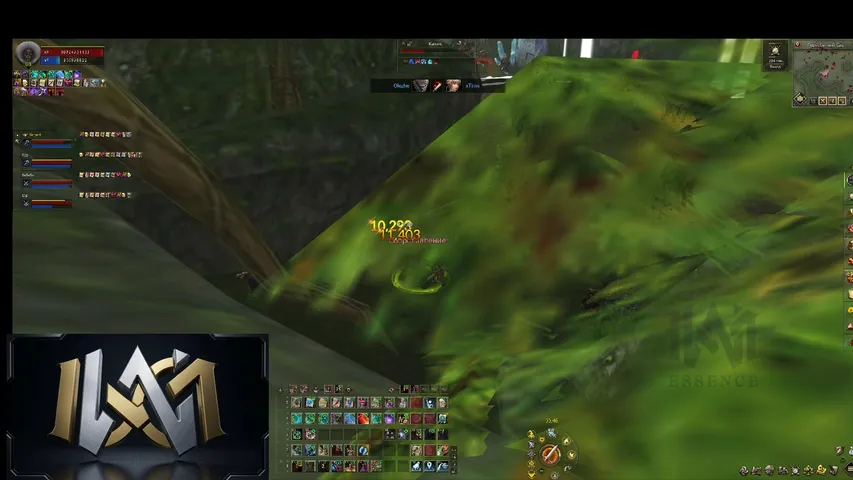lelikc Lineage 2 stream image
