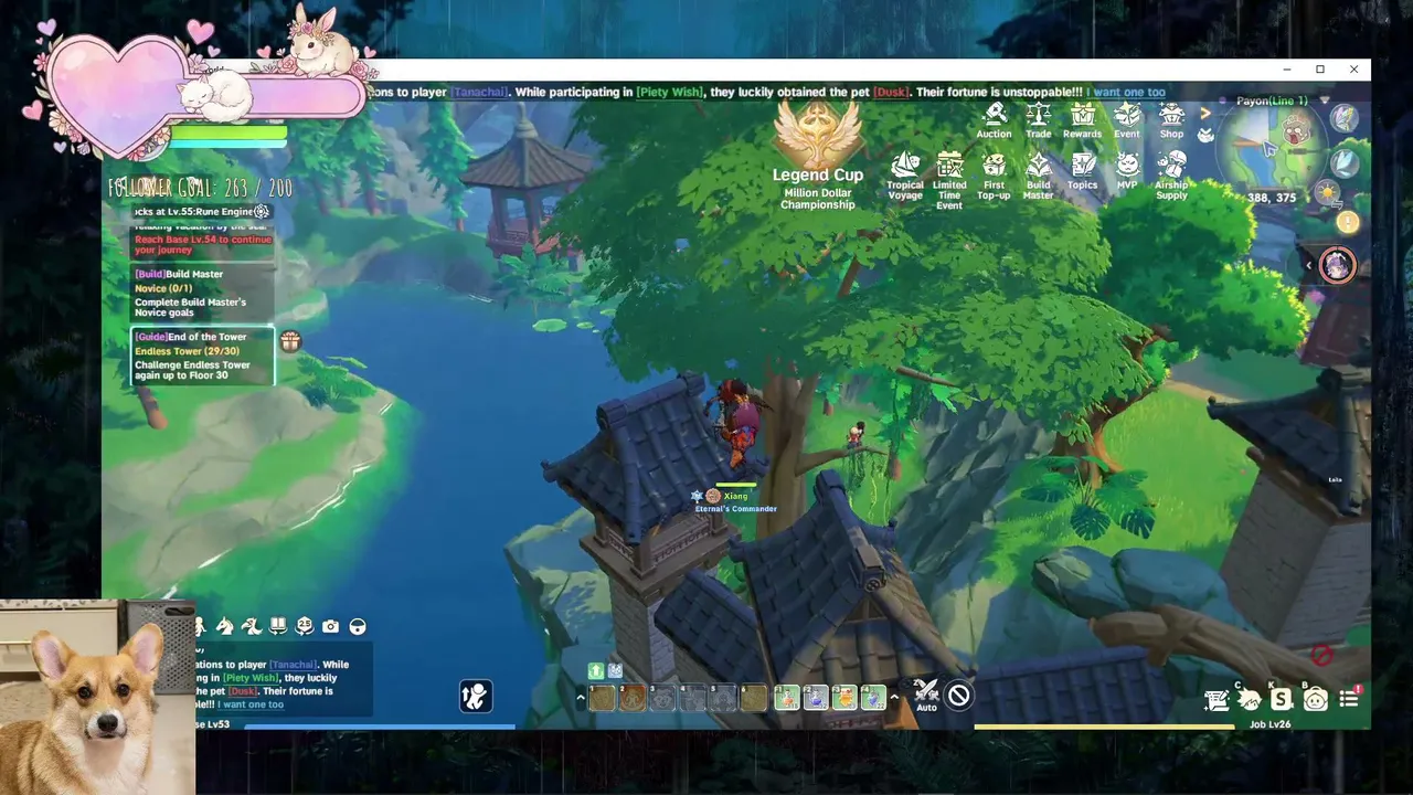 Irisgamingx live