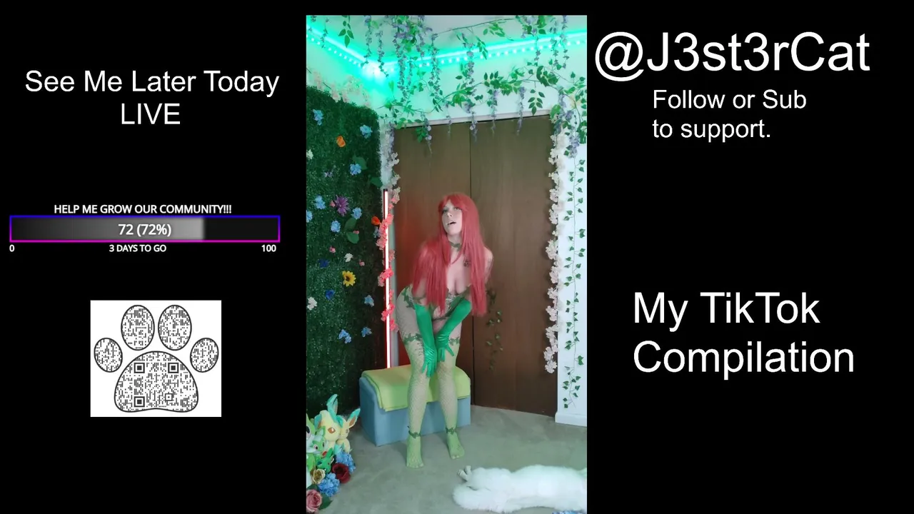 J3st3rcat