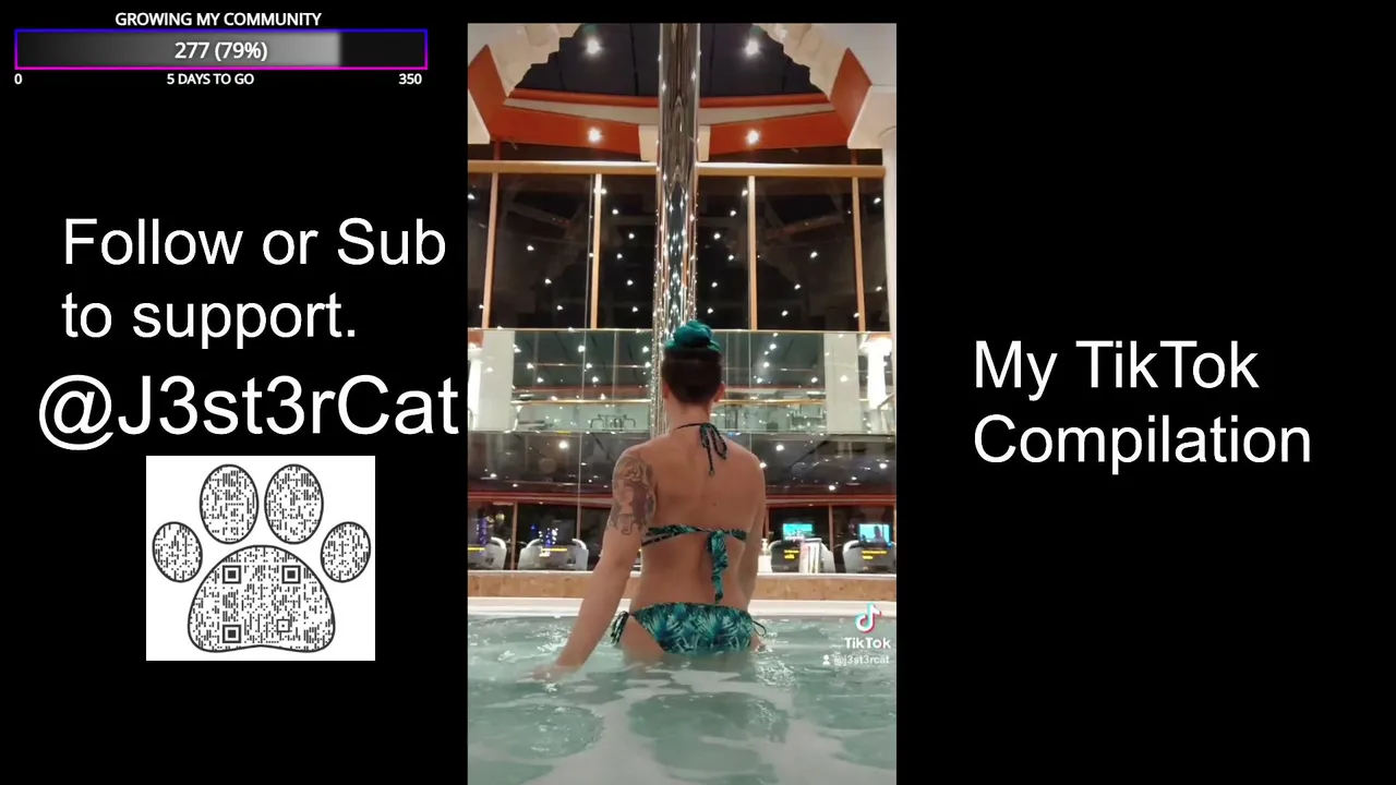 J3st3rcat