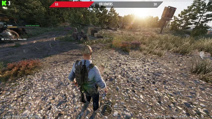 DayZ