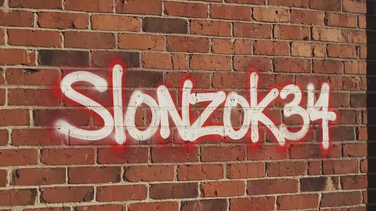 Slonzok34