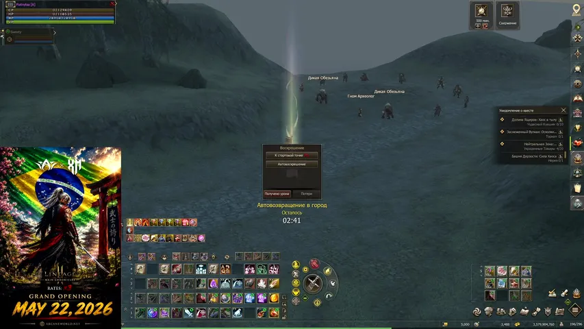 piatnytsa Lineage 2 stream image
