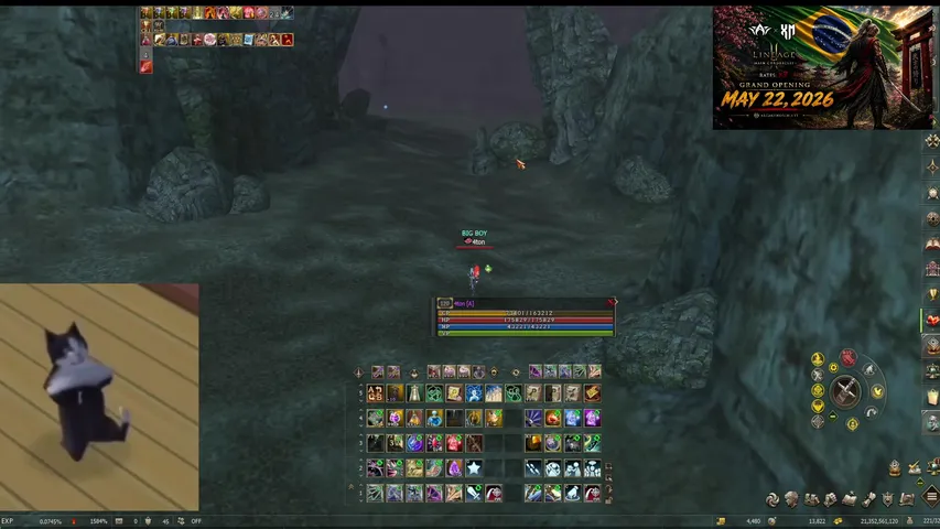 schizophrenia-l2 Lineage 2 stream image