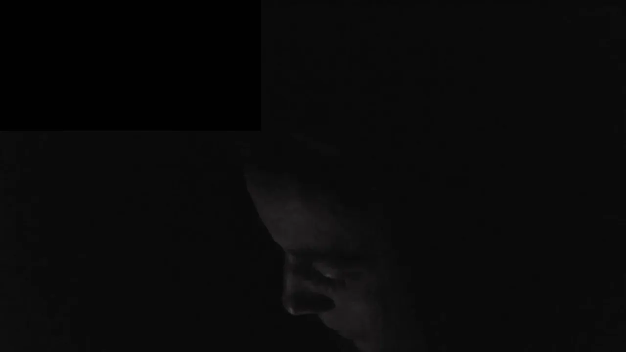 FlexieFae live