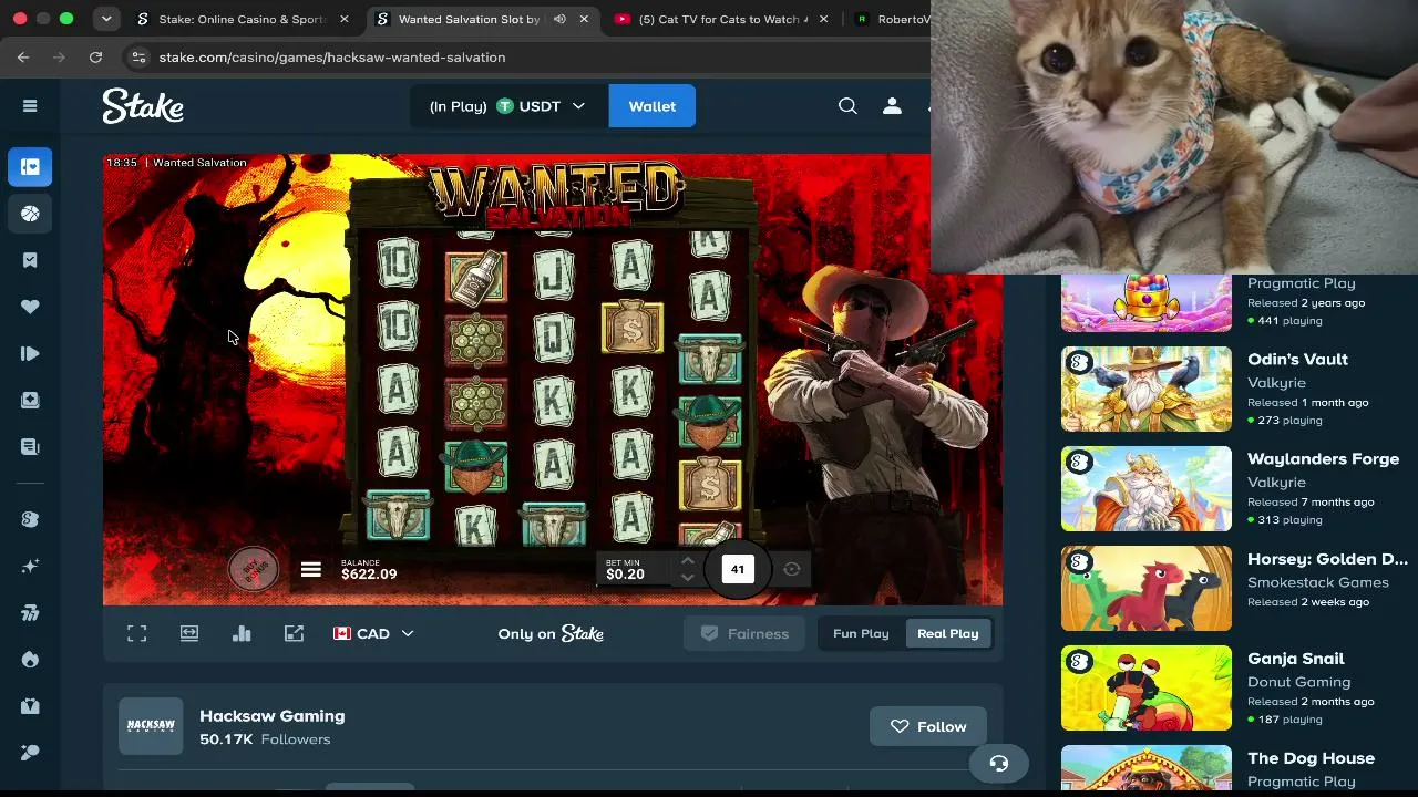 robertovstheworld