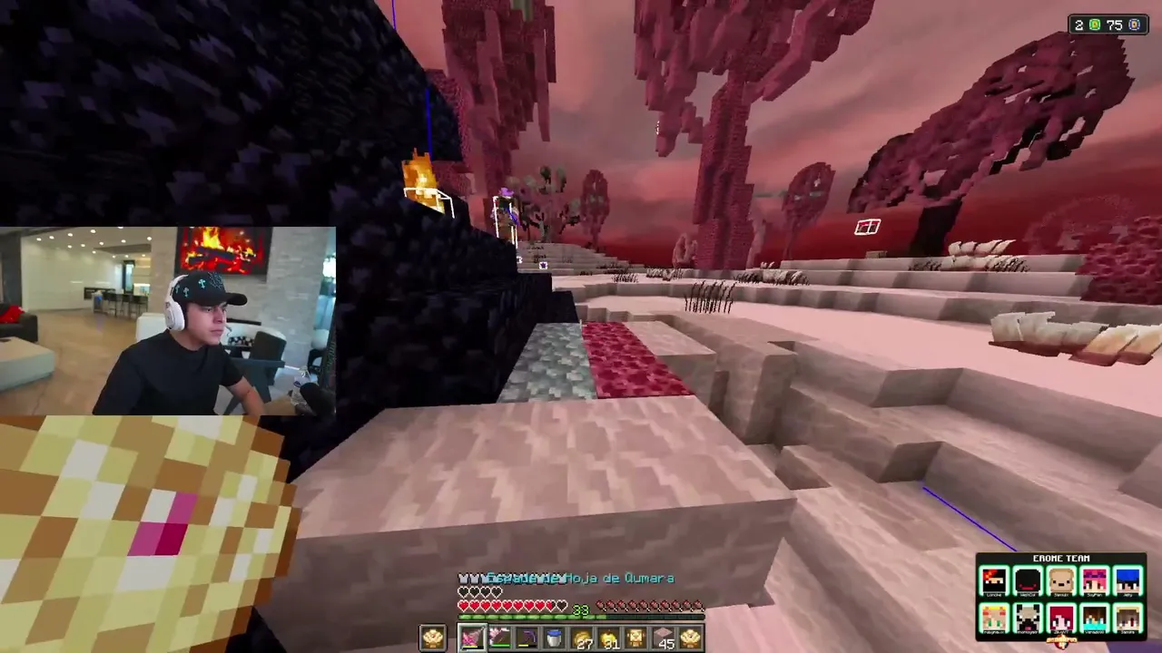 Lonche — DEDSAFIO MINECRAFT 4 | DÍA 14 NUEVOS PUDINES EN EL TEAM