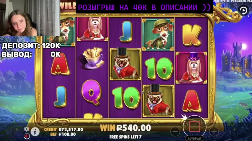 zogul1337 playing Slots & Casino - Live Casino Stream