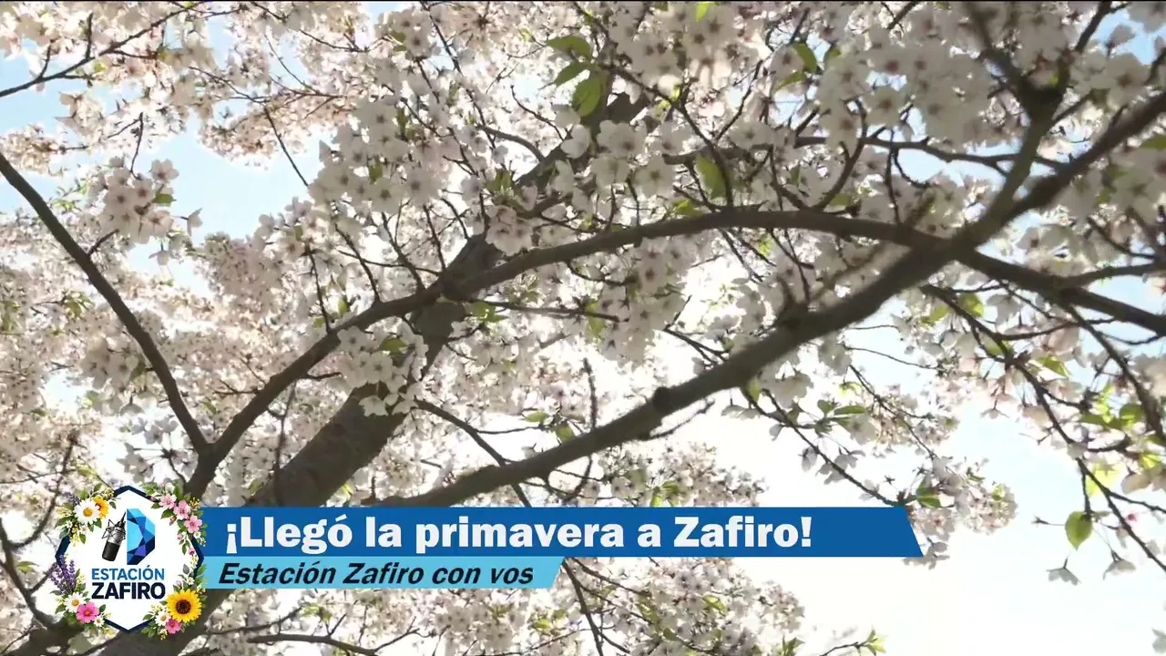 EstacionZafiro