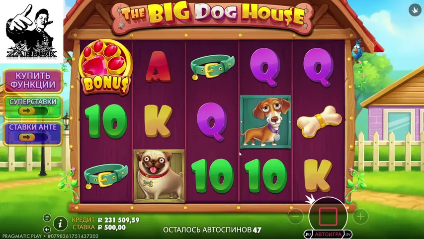 zerovank playing Slots & Casino - Live Casino Stream