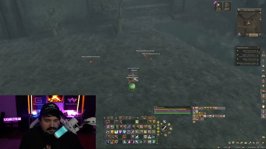 kaganpwnz Lineage 2 stream image