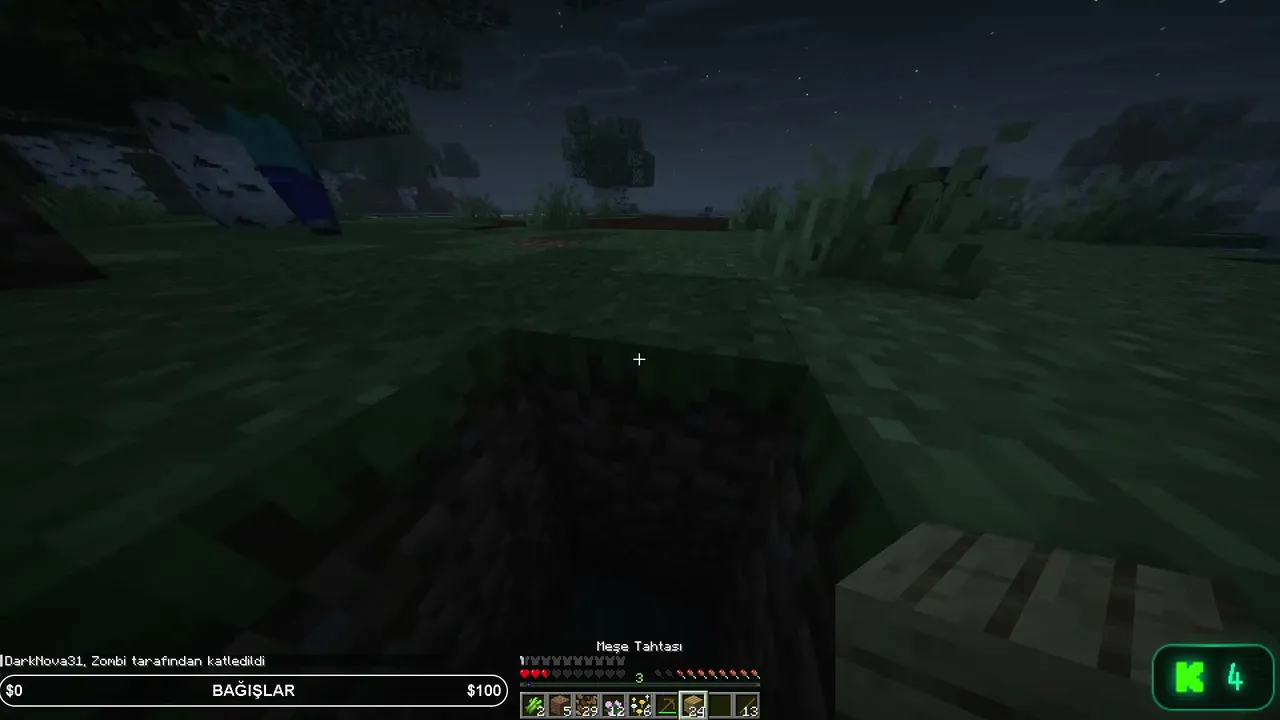 Minecraft Oynuyoruz