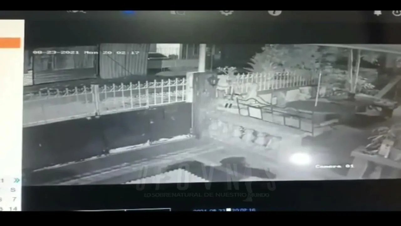 ufovnis live