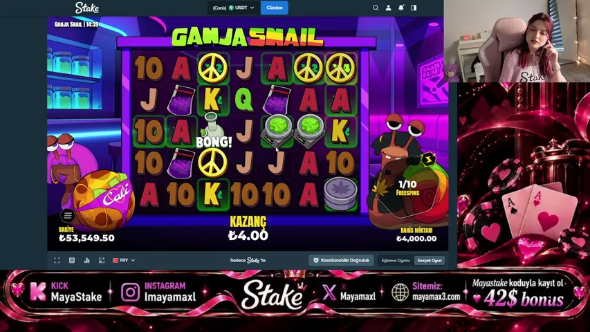 Mayastake playing Slots & Casino - Live Casino Stream