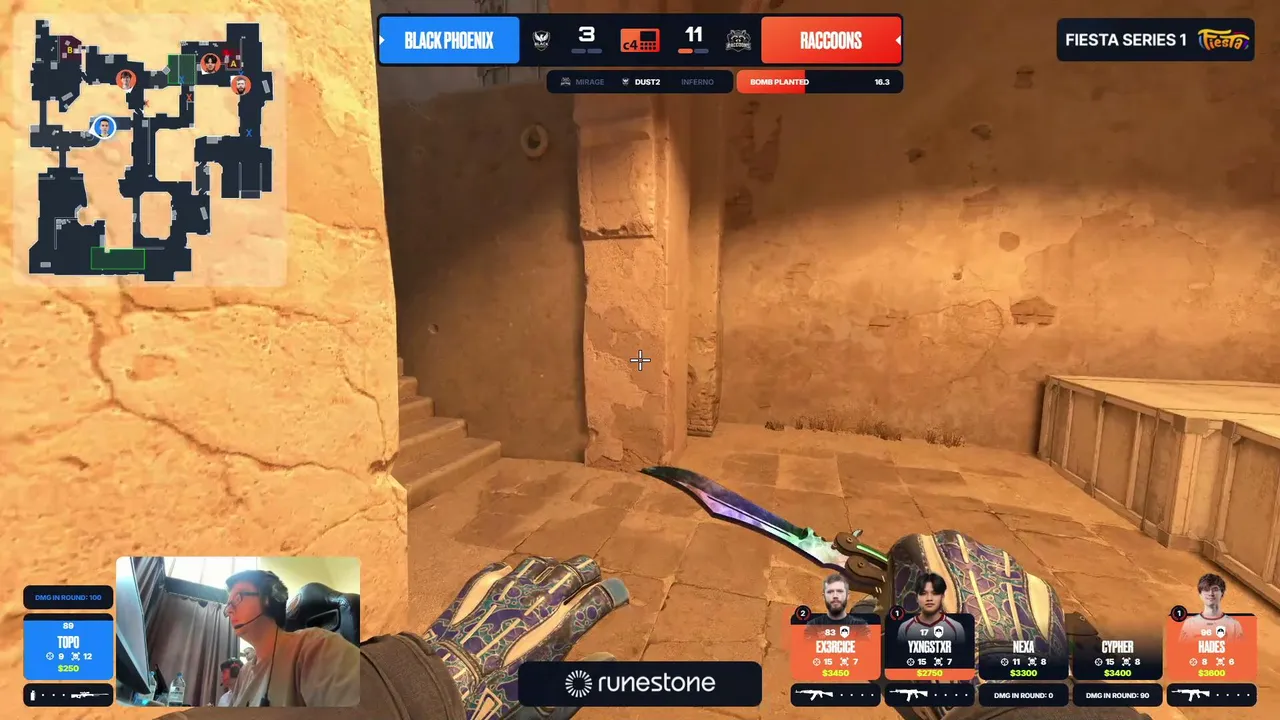 fiesta_cs