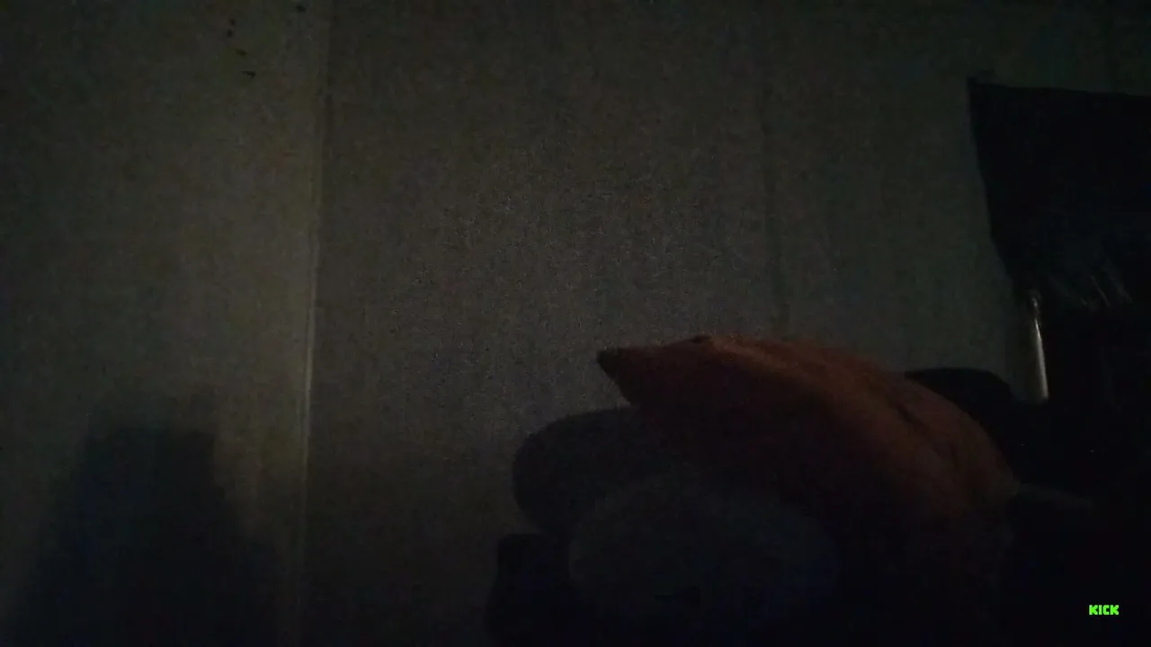 Siadithakid live