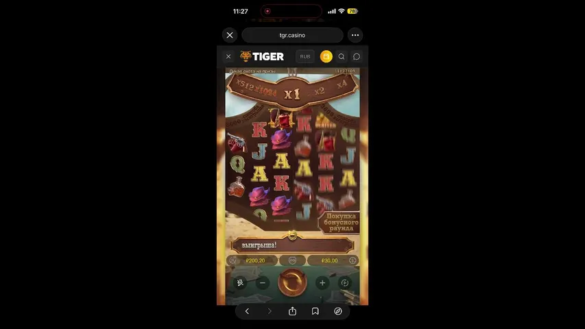 igorella3456 playing Slots & Casino - Live Casino Stream