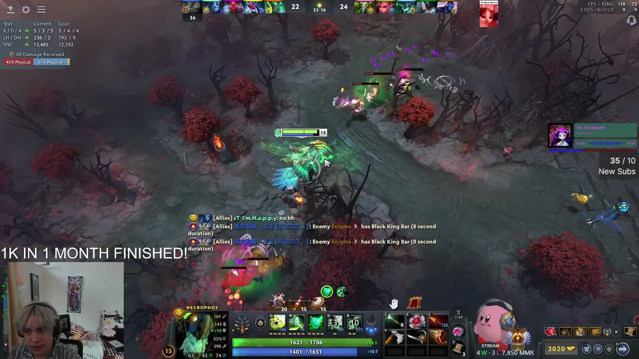 dnmdota live stream