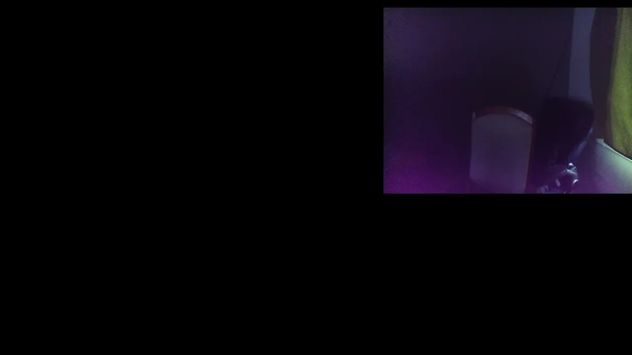 ONLY_misfit live