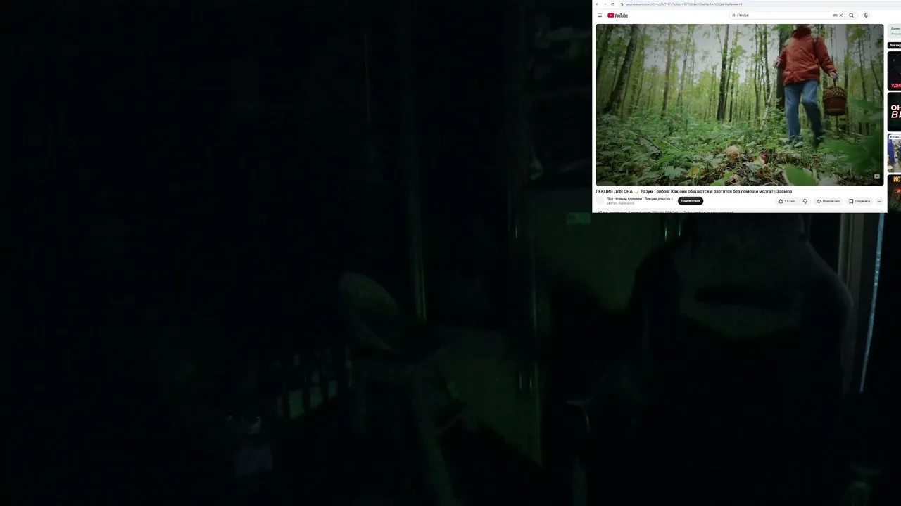 peace_dukoff live